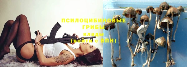 стаф Балабаново